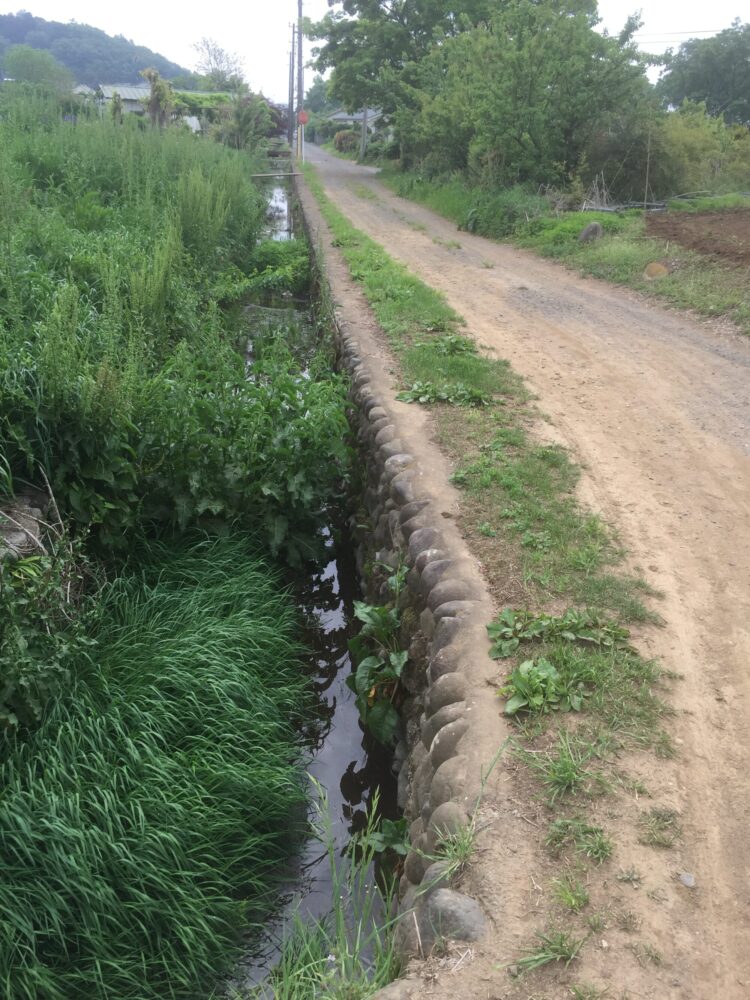 未舗装の農道と排水路