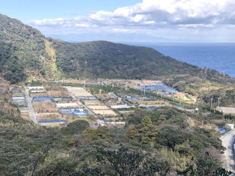 久田巻地区全景