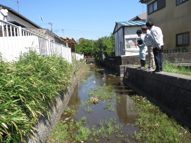 用水路現地調査